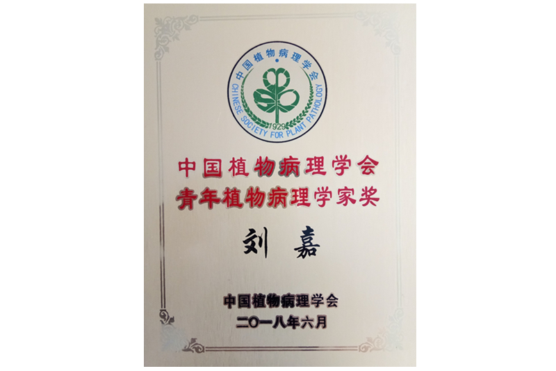 0828青年科学家奖状_副本.jpg